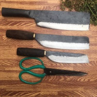 Bộ Dao Đa Sỹ 10