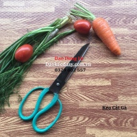 Kéo Cắt Gà Nhíp Xe