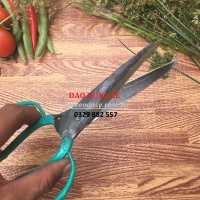 Kéo Cắt 14 Cm